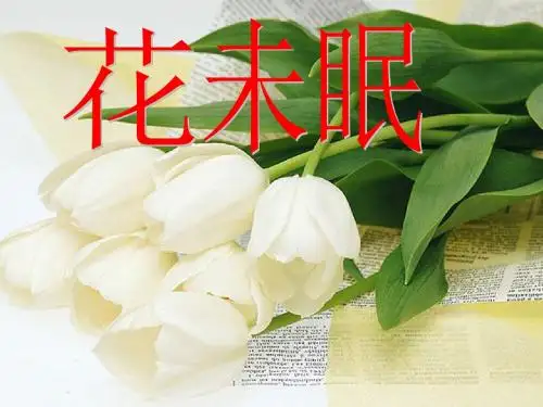 花未眠PPT(优秀课件)44 人教版