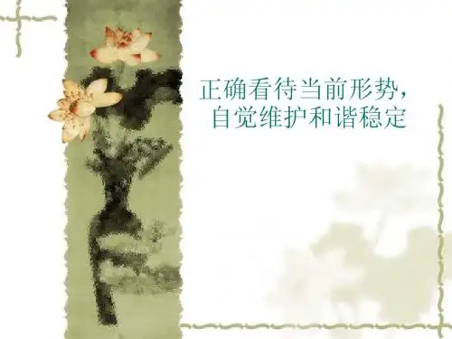 正确看待当前形势,自觉维护和谐