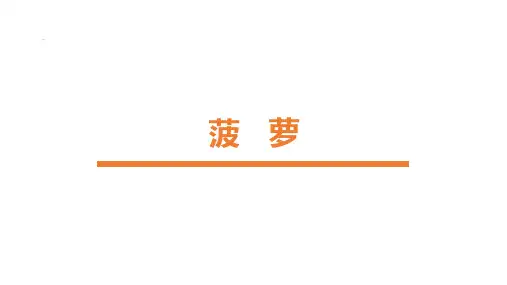创意美术4—5岁《菠萝》