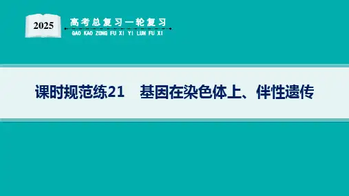 2025高考总复习一轮生物学配人教版(适用于新高考新教材)ppt 第5单元 孟德尔遗传定律与伴性遗传