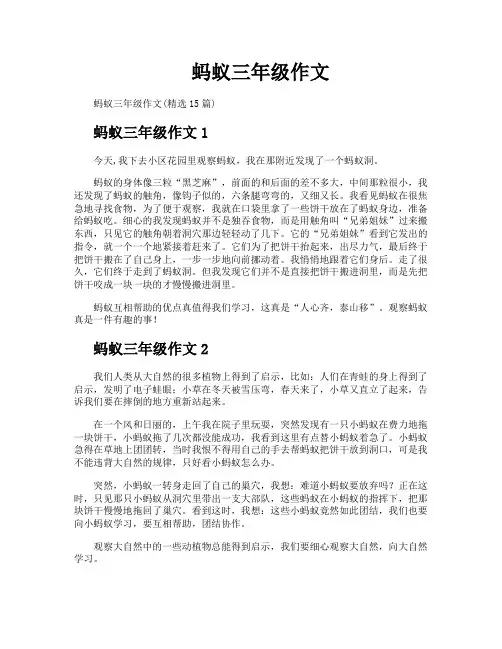蚂蚁三年级作文