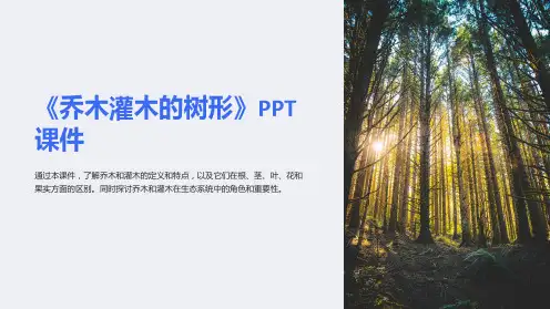 《乔木灌木的树形》课件