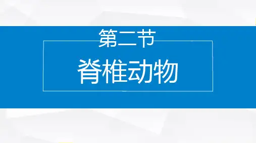 2.4.2 脊椎动物(课件)七年级生物上学期(2024苏教版)