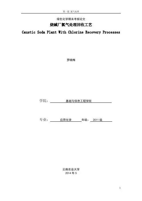 烧碱厂废氯气 回收处理工艺
