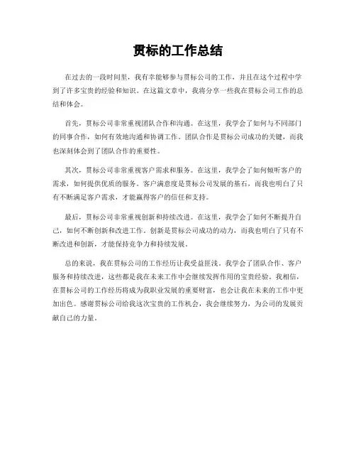 贯标的工作总结