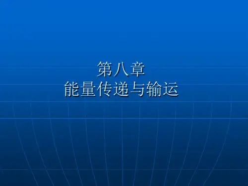 第八章-能量传递和输运