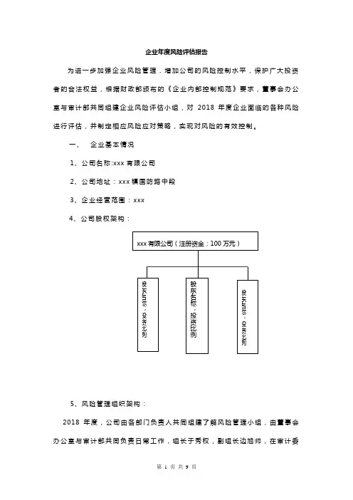 企业风险评估报告 (2)