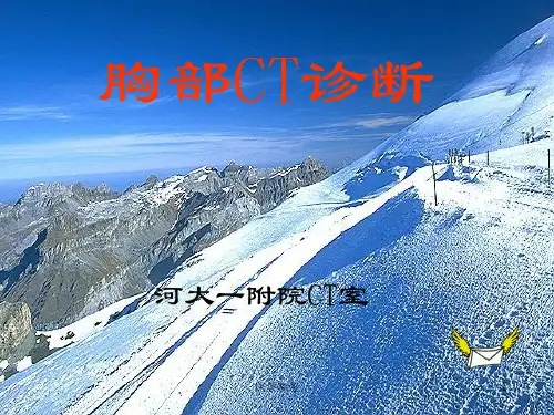 胸部CT诊断详尽版[内容充实]