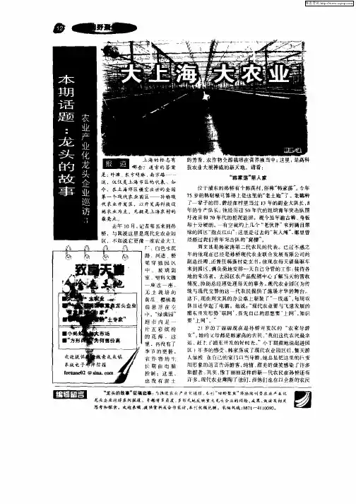 大上海  大农业
