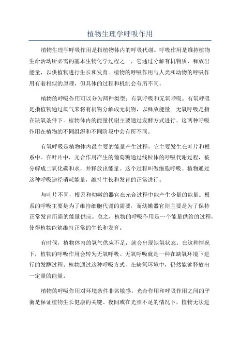 植物生理学呼吸作用