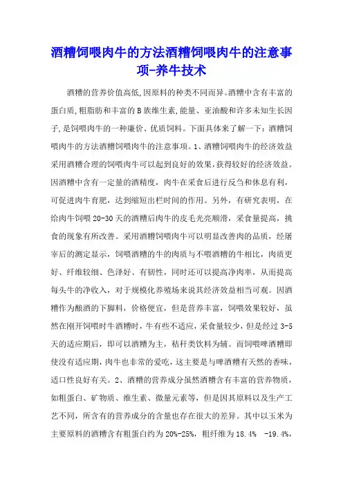 酒糟饲喂肉牛的方法 酒糟饲喂肉牛的注意事项 - 养牛技术