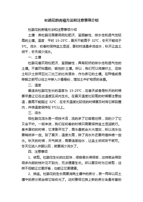 杜鹃花的养殖方法和注意事项介绍