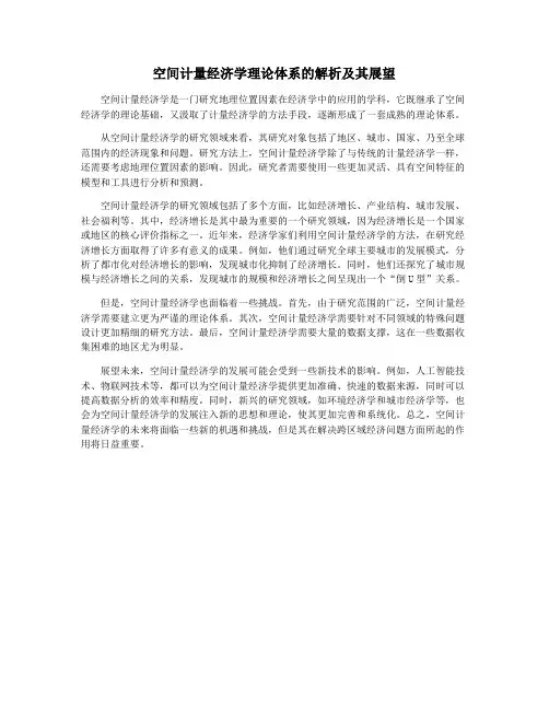 空间计量经济学理论体系的解析及其展望