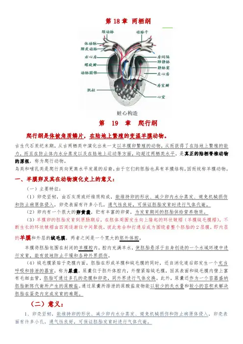动物学(爬行纲、鸟纲、哺乳纲)