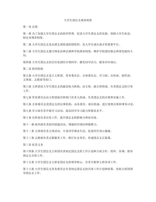 大学生团总支规章制度