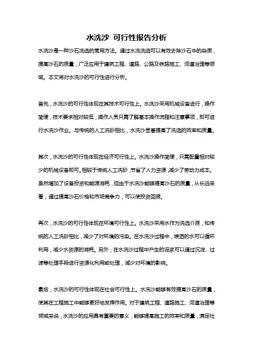 水洗沙 可行性报告分析