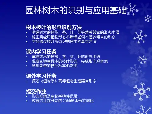 植物形态学术语(英)