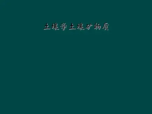 土壤学土壤矿物质