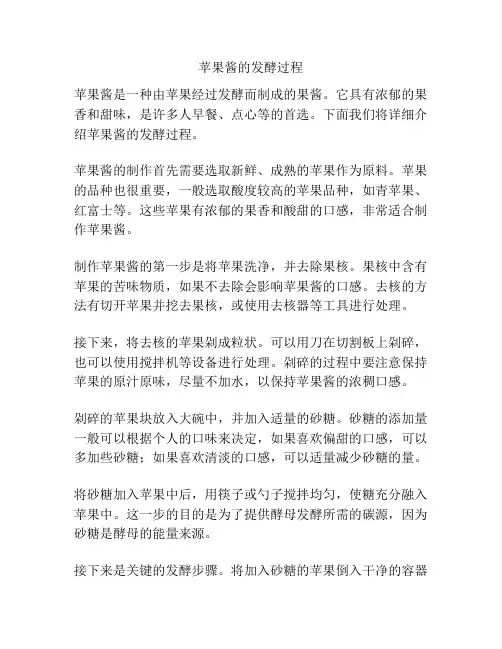 苹果酱的发酵过程