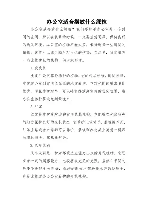 办公室适合摆放什么绿植