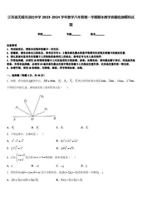 江苏省无锡市洛社中学2023-2024学年数学八年级第一学期期末教学质量检测模拟试题含答案