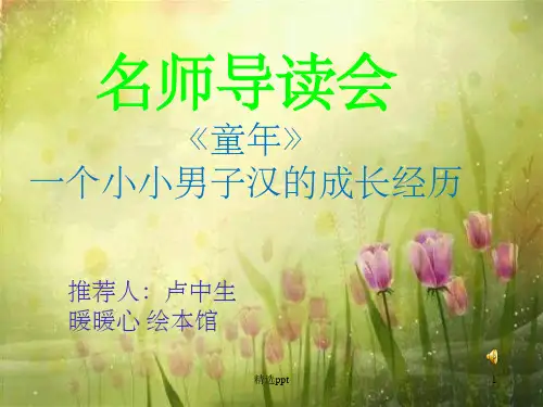 好书推荐高尔基《童年》ppt课件
