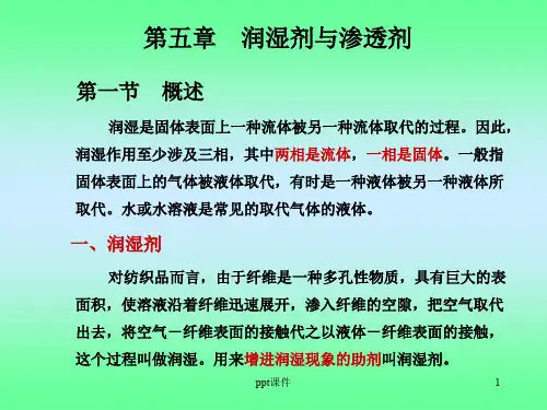 第五章 润湿剂与渗透剂  ppt课件