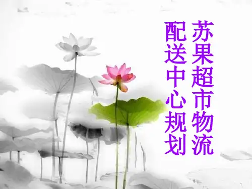 苏果超市物流配送中心规划