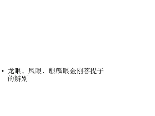 龙眼、凤眼、麒麟眼金刚菩提子的辨别