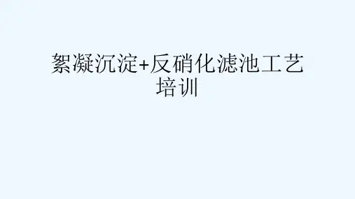 絮凝沉淀+反硝化滤池工艺培训[可修改版ppt]