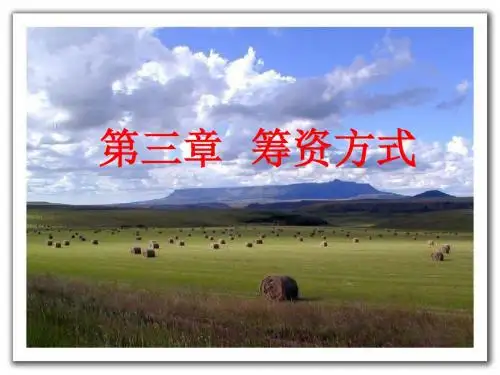 第3章筹资方式共109页文档