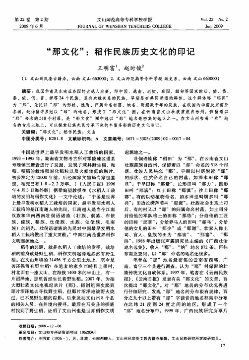 “那文化”：稻作民族历史文化的印记