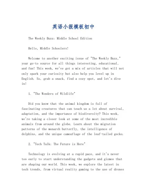 英语小报模板初中