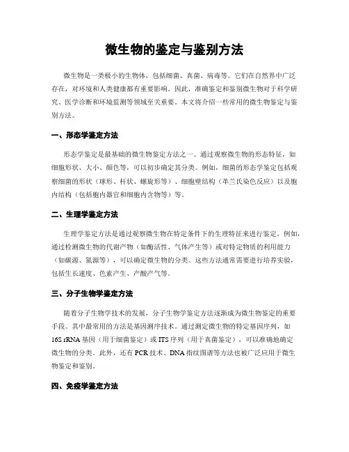 微生物的鉴定与鉴别方法