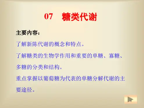 糖类分解代谢参考幻灯片