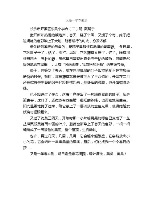 又是一年春来到_作文450字_小学叙事作文_