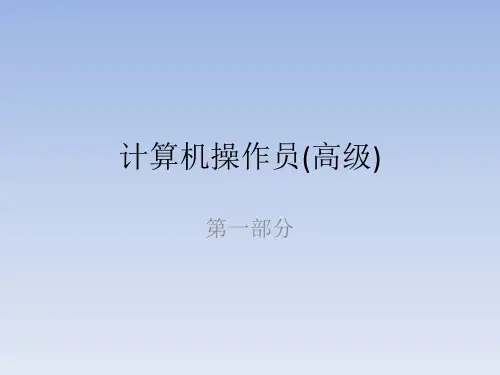 计算机操作员(高级1)概要