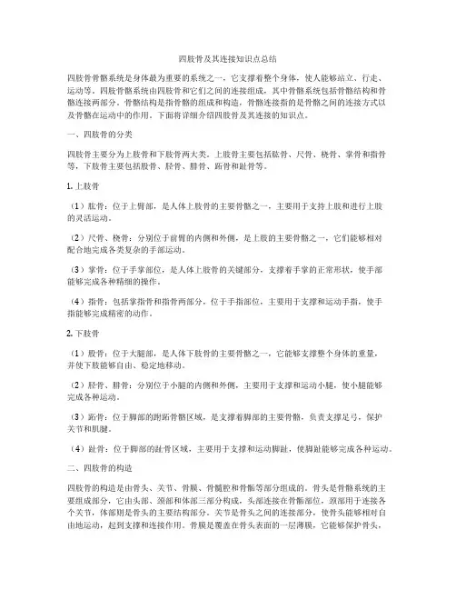 四肢骨及其连接知识点总结