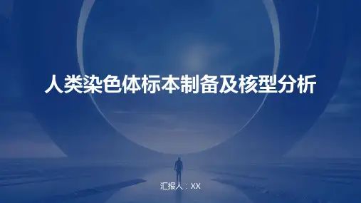 人类染色体标本制备及核型分析(1)