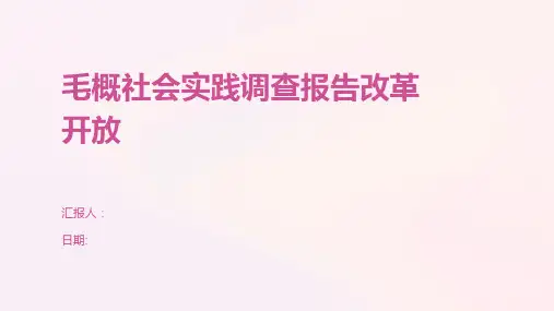 毛概社会实践调查报告改革开放