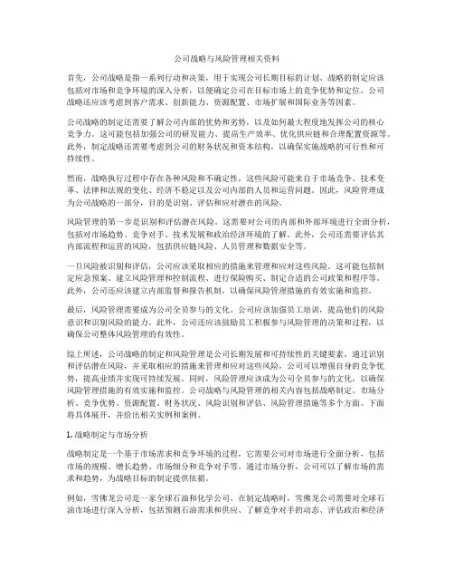 公司战略与风险管理相关资料