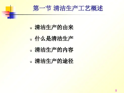 化工清洁生产工艺ppt课件