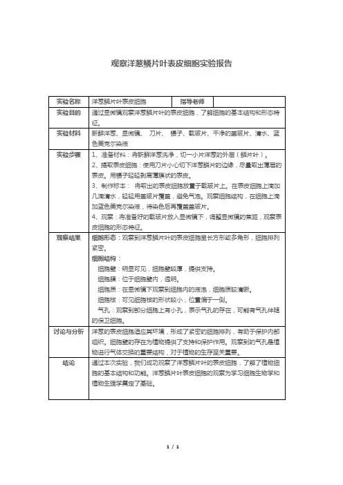 观察洋葱鳞片叶表皮细胞实验报告