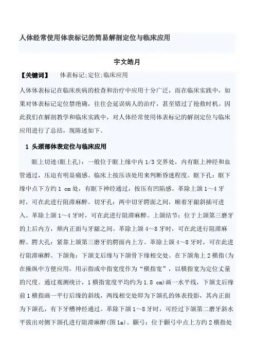 超级实用人体常用体表标志