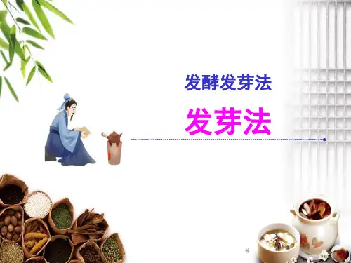 发酵发芽法—发芽法(中药炮制技术)