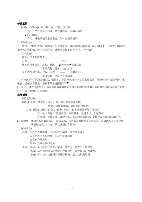 初中生物—人体(呼吸系统、血液循环)