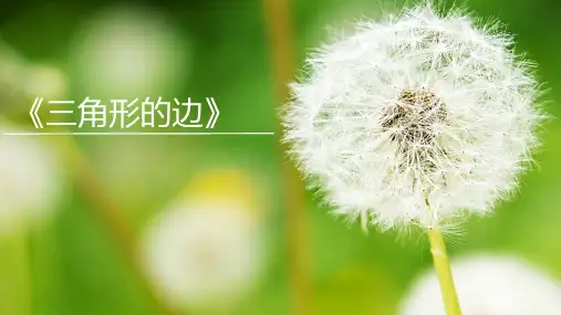三角形的边说课稿课件人教版八年级数学上册