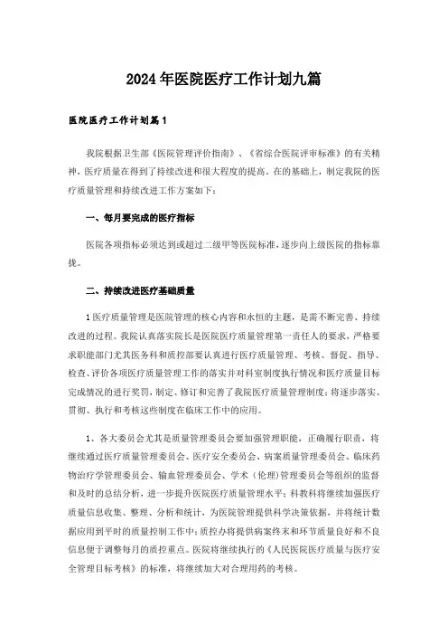 2024年医院医疗工作计划九篇