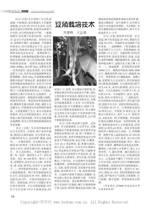 豆角栽培技术    