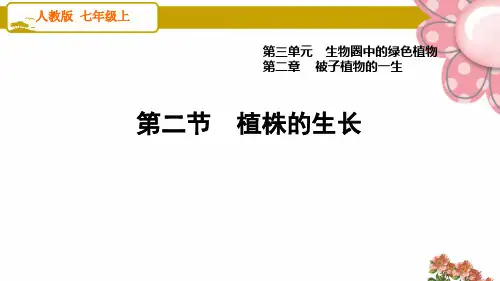 人教版七年级生物上册3.2.2 植株的生长